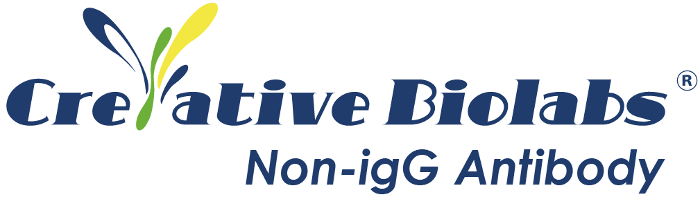 Non-IgG Antibody Blog – Creative Biolabs